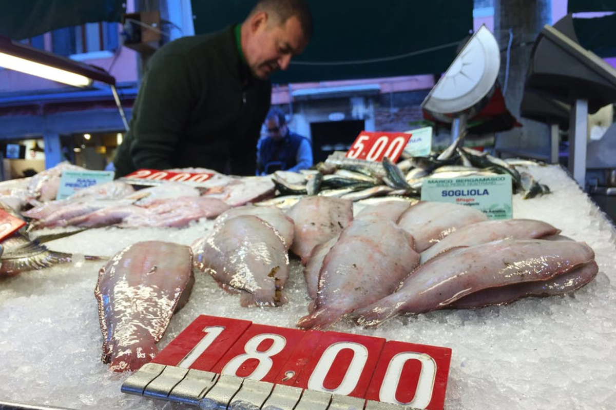 seafood-market-offshore-fish-farm